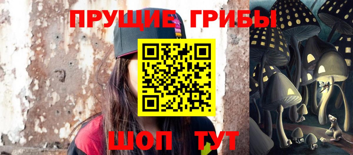 Псилоцибиновые грибы Cubensis  Вход с VPN  Юрга 